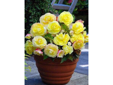 ������� ������� ������.136,8�