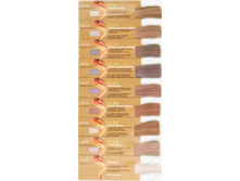 ������� ����-������ �����-�����.