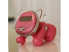 157429-����-��������� ���