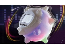 157904-����-��������� ���������