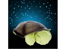 157987-����������-�������� ������ ��������