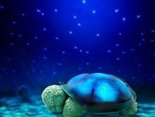 157988-��������.������ �� ���������!