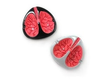 158122-���������� ������