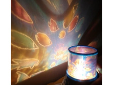 158311-��������-������ �����