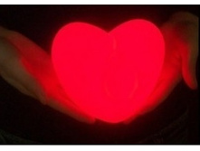 158325-����-���������� ������