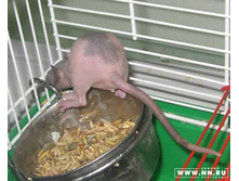 ��� ��� ����!