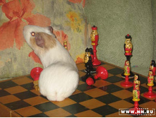 ������....