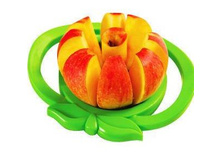 158261-�����������