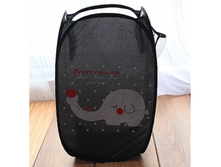 157546-������� ��� ����� ����