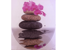 158333-��������.������ �� ���������!