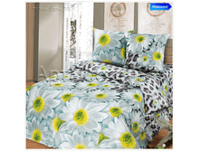 ������ ���.png