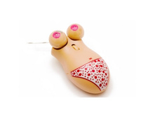 157918-���� ���������� ������� ����