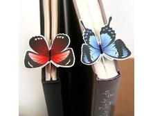 158219-��������.������ �� ���������!.jpg