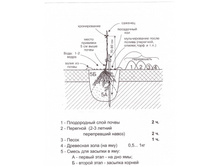 7170342.Scan_20130426_220437.jpg