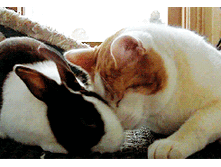 ��� � ������