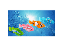 157541-����������� ���� ����� Robofish