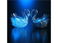 158026-���� �������� ������