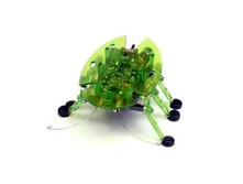 158192-������� HEXBUG Original
