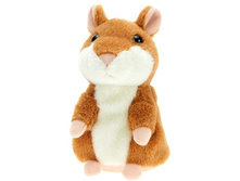 158366-��������� �������