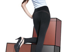 Jasmine ���������_880