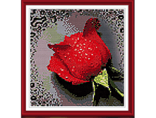 157582-����� ��� ������� �������� \"����