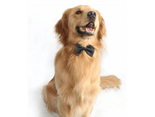 157614-������� ��� ������/�����