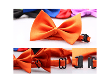 157614-��������.������ �� ���������!.JPG