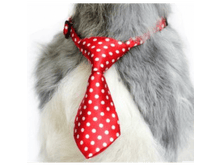 157615-������� ��� ������