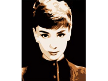 157636-��������� �� �������