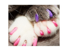 158216-��������� ����� ��� �����/�����