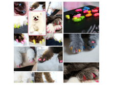 158216-��������.������ �� ���������!.JPG