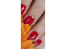 30001 HAUTE RED ���