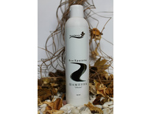 ������� �����.jpg