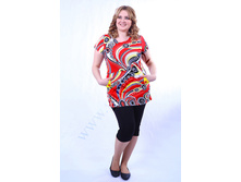 �-244.1 �������� ��������