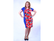 �-221 ������