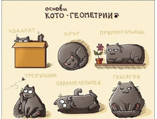 ������ �������������