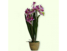 ����� � ������������� ������� ������� F10--43.jpg