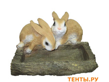 �������� � �������.jpg