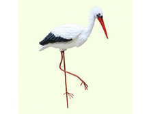 ������ ���� �������.jpg