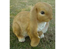 �������  ������.jpg