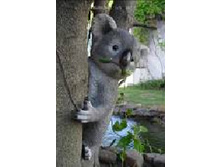 ������� ����� �� ������.jpg