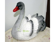 ������� ������ �����.jpg