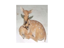 ������� ����� � ��������� 1.jpg