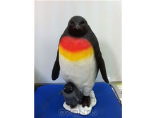 ������� ������� � ������������.jpg