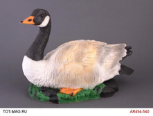 ������� ��������.jpg