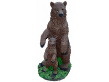 ������� ����� �������.JPG