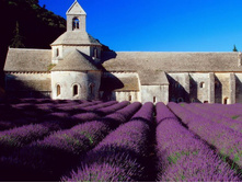 ���������� ���� � ��������.jpg