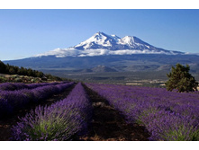 ���������� ���� � ��������1.jpg