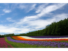 ���������� ���� � ��������3.jpg