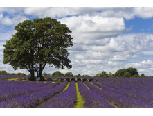 ���������� ���� � ��������4.jpg